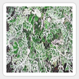 Lush Cineraria Foliage Sticker